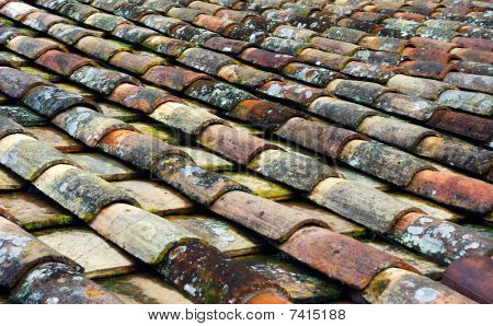 Roof tiles