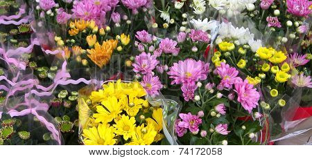 Flowers For Sale By Wholesale Florist In The Big Flower Market