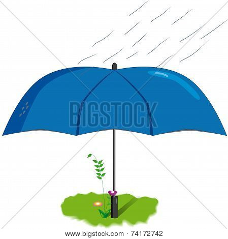 flower under an umbrella