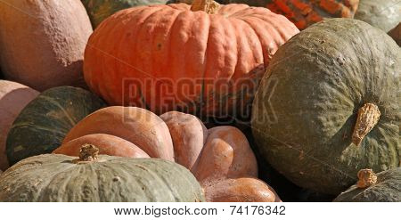 Pumpkins Collections To Decorate Halloween Night