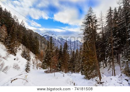 Forest near Village Umhausen and waterfall - Tirol Austria - travel background