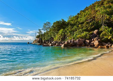 Seychelles tropical beach at sunset - nature background