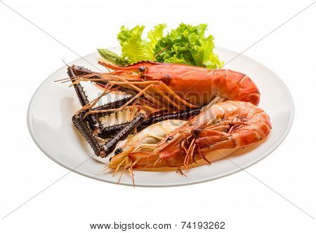 Giant Freshwater Prawn And King Prawns