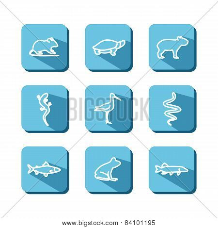 Animals Of Bogs And Reservoirs