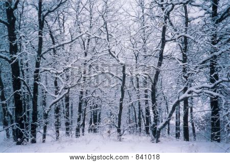 scan0007