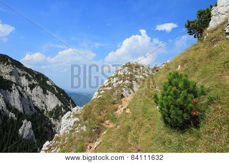 Romania Mountain Landscape