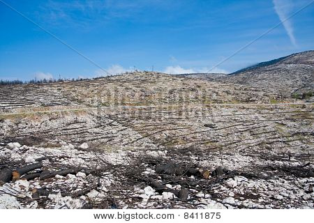 Parnitha National Park
