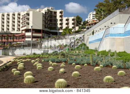 giardino di cactus