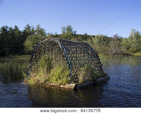 Loon nest