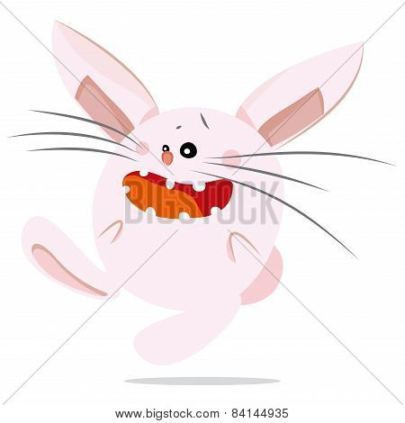 Figure Rabbit.
