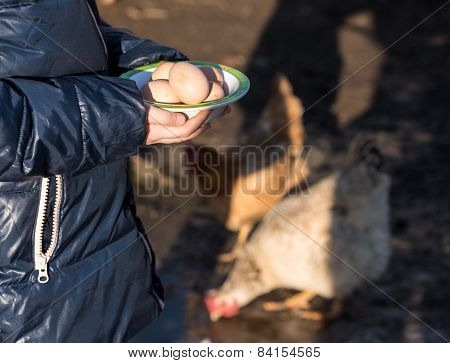 Pretty Girl Holding  Organic Eggs