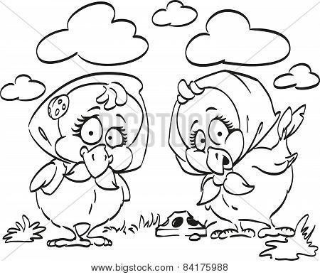 Pecking chickens.