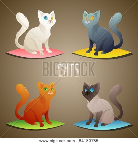 different Cats
