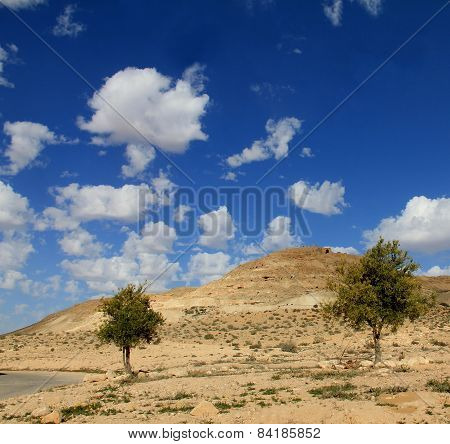 Negev Desert . Mountain  Avdat With Antic  Nabatean City