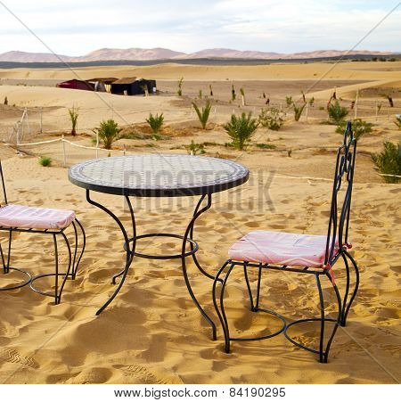 Table And Seat In Desert  Sahara Morocco    Africa Yellow Sand