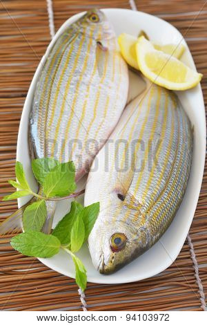 Two raw Western Atlantic seabreams with lemon and mint on a white dish