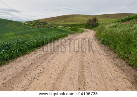 Dirt Road