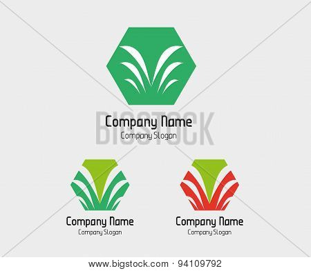 Palm tree logo with hexagons symbol