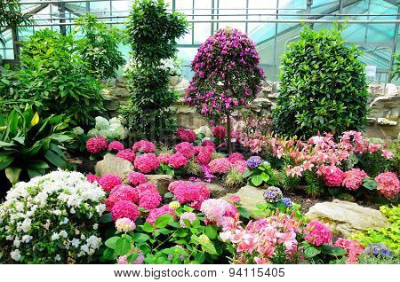 Pink, White And Blue Flowers In Palmen Garten, Frankfurt Am Main