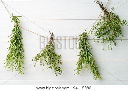 Single Twigs Of Thyme And Rosemary