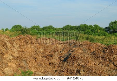 Steaming pile of manure on farm field