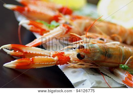 Langoustines