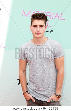 LOS ANGELES - JUN 14:  Gregg Sulkin at the Children Mending Heart's 7th Annual Empathy Rocks Fundraiser at the Private Location on June 14, 2015 in Malibu, CA