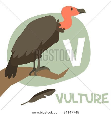 Funny cartoon animals vector alphabet letter set for kids. V is Vulture
