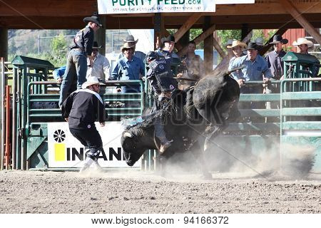 Ty Pozzobon Invitational Pbr
