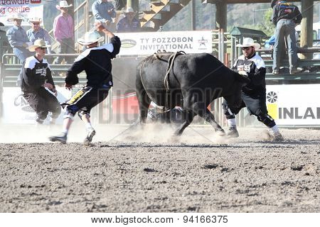 Ty Pozzobon Invitational Pbr