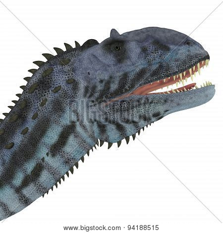 Majungasaurus Dinosaur Head