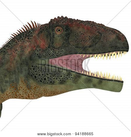 Mapusaurus Dinosaur Head