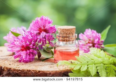 Bottle Of Elixir Or Essential Oil And Bunch Of Clover On Stump In Forest.