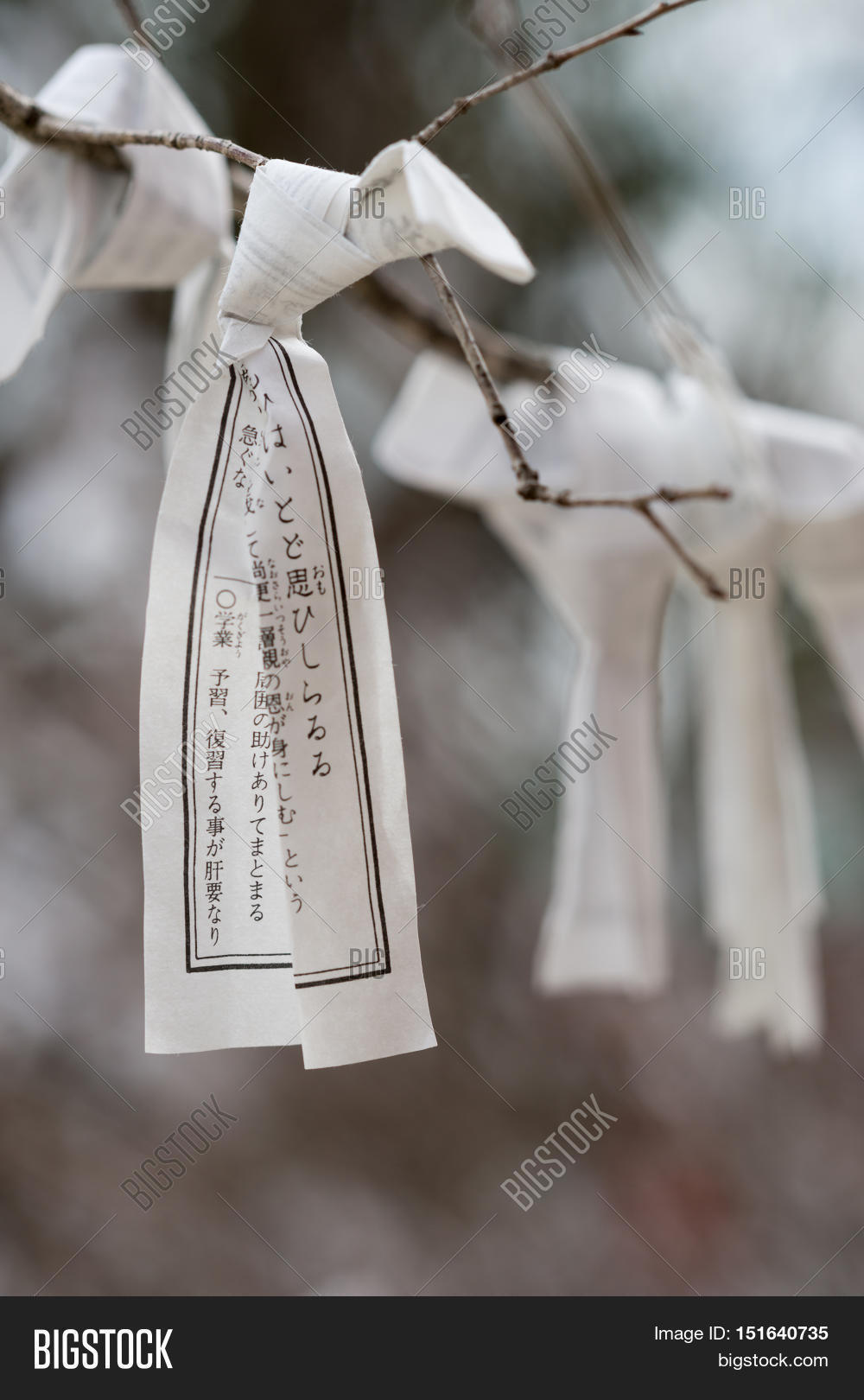 Kyoto Japan Image Photo Free Trial Bigstock Kyoto Japan Image Photo Free Trial Bigstock