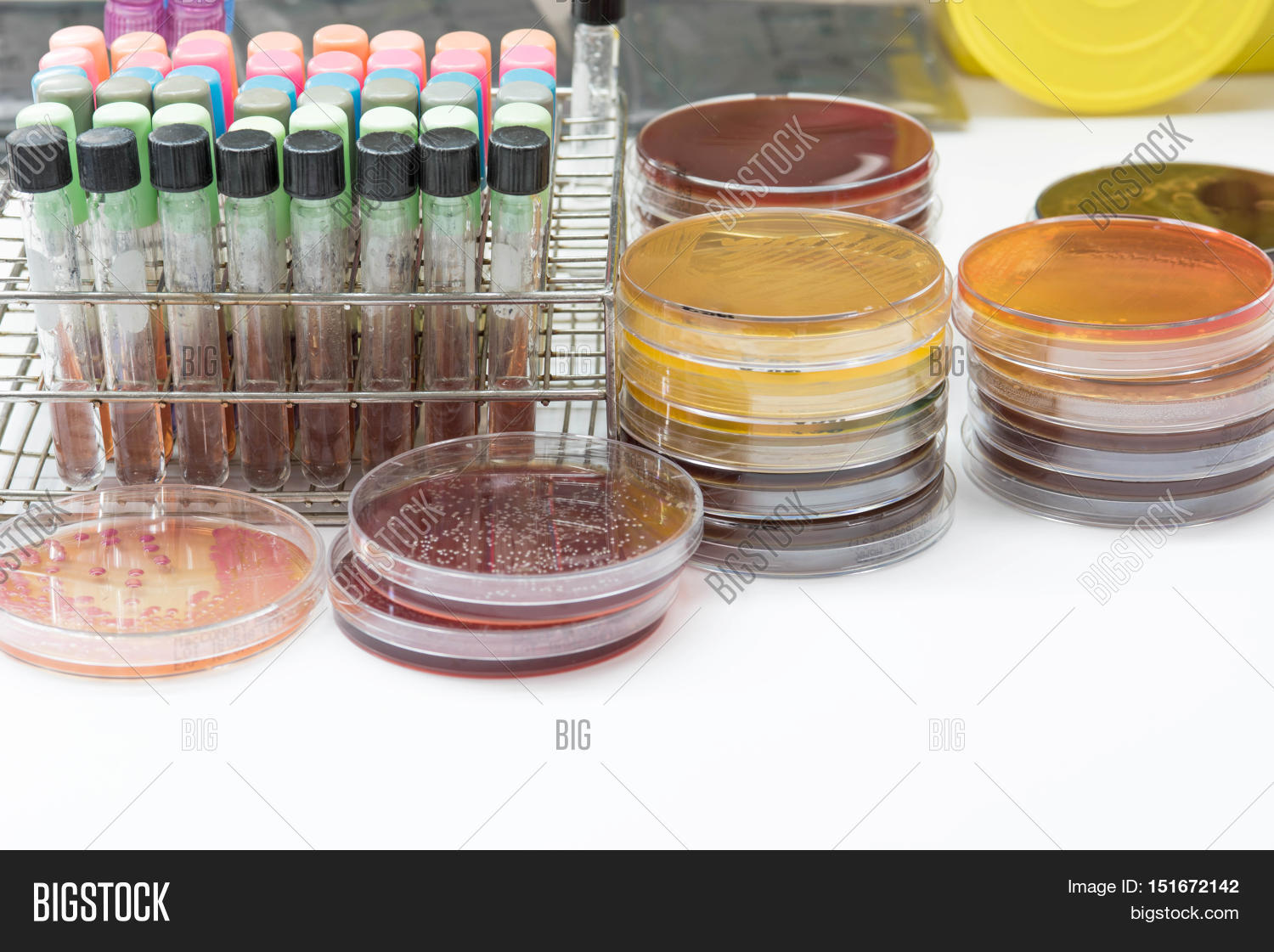 Biochem Test Kit Image & Photo (Free Trial) | Bigstock