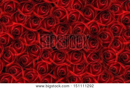 background with a bunch of many red roses