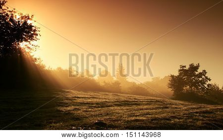 Beautiful mystical landscape in yellow orange and red colors at sunrise