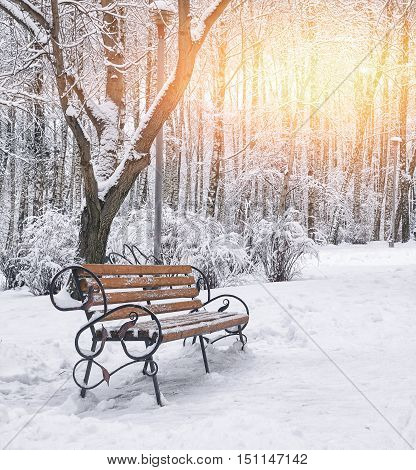 Park bench and trees covered by heavy snow. Lots of snow. Sunset