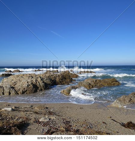 This is an image of the rocky shore of Asilomar Beach in Pacific Grove, California.