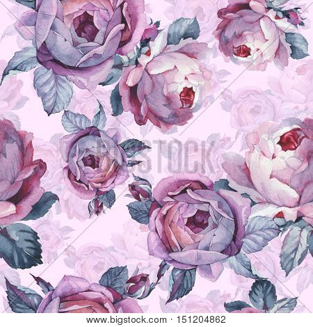Wildflower rose flower pattern in a watercolor style isolated. Full name of the plant: rose, hulthemia, rosa. Aquarelle wild flower for background, texture, wrapper pattern, frame or border.