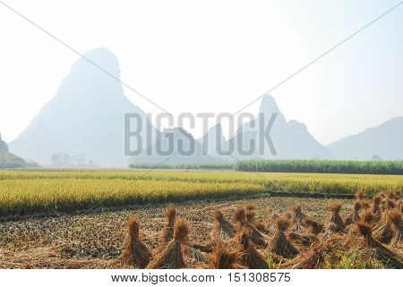The karst mountains and rural scenery in autumn