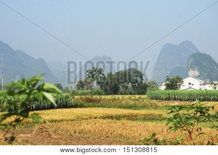 The karst mountains and rural scenery in autumn