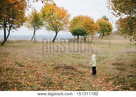 Little girl in the autumn park. pathway