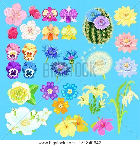 set of lotus flowers japanese cherry orchid cactus vector illustration