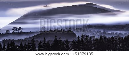 Landscape of mist covered mountain misty mid ground trees in silhouette and silhouetted trees foreground