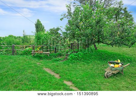 Matamata, New Zealand - January 15, 2015: Hobbiton - Fictional Village Created For The Movie Lord Of
