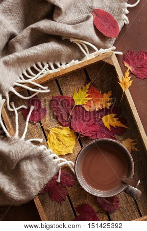 hot chocolate warming drink wool throw cozy autumn leaves