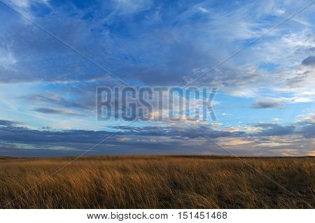 Autumn sunset on the meadow. Clouds and grass beautiful landscape.