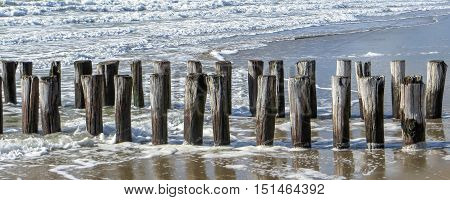 coastal scenery with wooden pillars in the Netherlands
