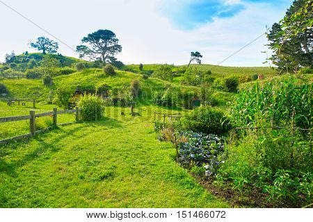 Matamata, New Zealand - January 15, 2015: Hobbiton - Movie Set Created For Filming The Lord Of The R